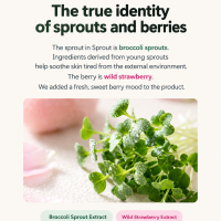 Viarthe Ssakssak Berry Jam Cleanser deep cleansing mildly acidic pore blackhead sebum dead skin cells low-irritation cleanser 120ml